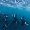 Nikolay Toralen's Photo